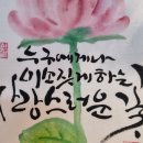 인디55