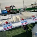 범서초등학교 | [울산] 울주 음식문화축제, 미식여행 현장 생생 후기
