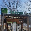 [서울숲] 곤충식물원, 은행나무숲, 상상거인의나라 구경하기