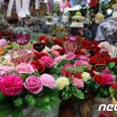 비누꽃코리아 이미지