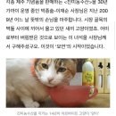 진아농수산
