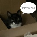 라익스 | 약수역 청구역 화덕피자 맛집 라익스 내돈내산 솔직후기