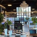 진세이로무시 이미지