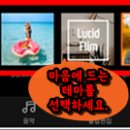 비바비디오 이미지