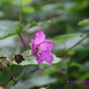 강변의 하루 이미지