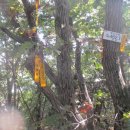 팔음농장 이미지