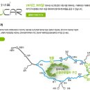 분천산타마을 자전거셰어링 이미지