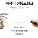 인천 더뉴모하비 력셔리 전동트렁크 장착 이미지