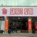 돼지파는토끼 이미지