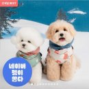 히트셀러 | ⭐️한 겨울 산책도 걱정 끝! 3초만에 입히는 바잇미 더블히트 강아지 패딩조끼 후기