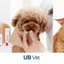 유비메디 이미지