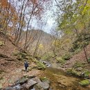 생곡리 미약골 이미지