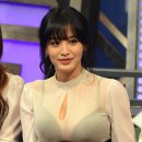 레인보우독