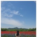 악양공용주차장 이미지