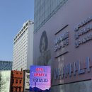 베스트 트레이닝 스튜디오(BTS) | 명동 셀프스튜디오 큐브스튜디오 자연광 인생사진