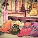 최씨스토리 이미지