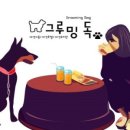 그루밍031 네이버블로그