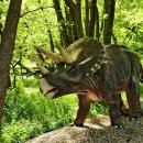 트리케라톱스-3 이미지