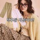 센소리디자인 | "산리오 덕후들 필독" 스파오 헬로키티 레오파드 잠옷바지 가격 및 착샷 후기