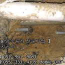 안막2구 이미지