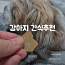 토토키친 | 강아지 간식추천! 헬스키친사사미칩 반응 대박