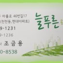 현대늘푸른 공인중개사사무소 이미지