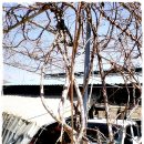 오번리 농장 이미지