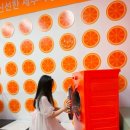 보라세탁소 이미지