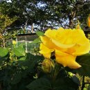 서해랑길 90코스 이미지