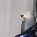 새아리농장 이미지