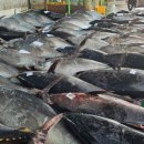 로또수산 이미지