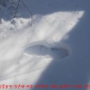 은평-024 Daum카페