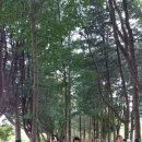 천사들의 집 이미지