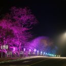 가로등