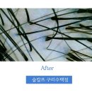 숲칼프 구리수택점