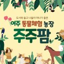 여주-1126 네이버블로그