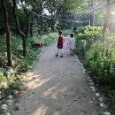 원주허브팜식물박물관 Daum카페