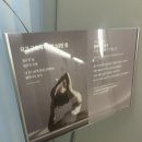 아쉬탕가 요가 | 한남동 요가원 추천 엘피지오 한남 아쉬탕가 요가 수업 후기