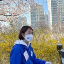 구의중앙의원 이미지