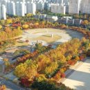 평촌공원 이미지