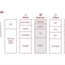 인바디광주 이미지