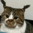 잠실여관 이미지