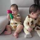 6개월 아기 장난감 국민육아템 튤립 사운드북 할인 링크 및 불빛 없애는 법