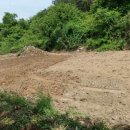 사리농장 이미지