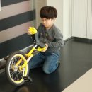 사계절푸른솔 태권도 이미지