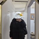산본 필라테스 오전 상체 오후 하체 털린 후기 에스바디워크필라테스 산본점