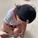 [환경보호챌린지2차]4주차 분리수거day_가정실천_박채은 이미지