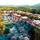 내곡동270 이미지