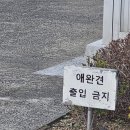 서부시민운동장 이미지