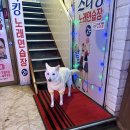 스타킹노래연습장 이미지